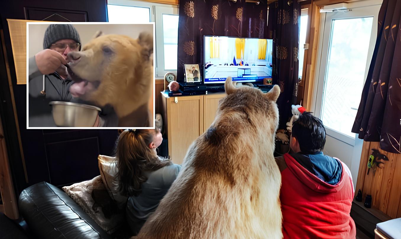 Família vive com urso gigante dentro de casa