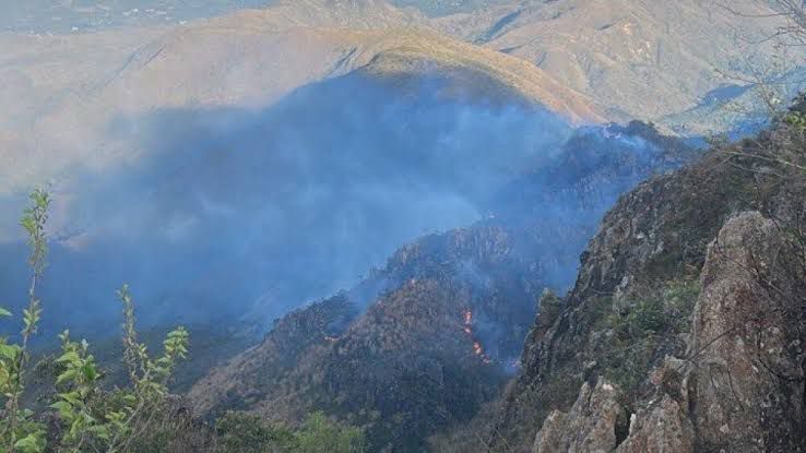 Incêndio de grande proporção atinge Serra do Rola Moça