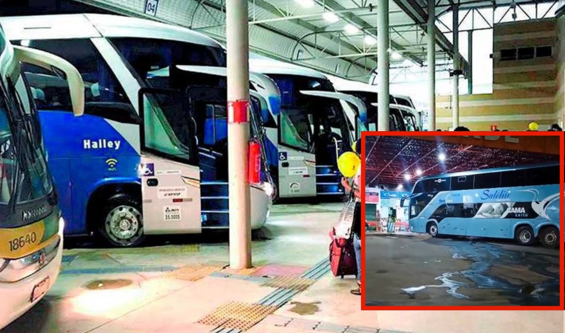 flagrante mostra dejetos espalhados no terminal rodoviário