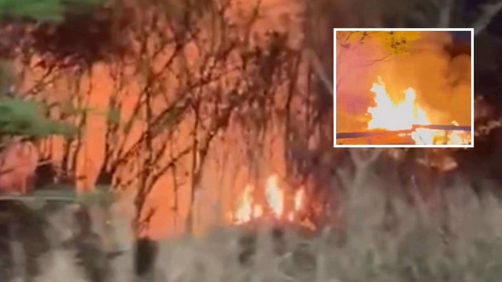 Incêndio em vegetação afeta área às margens da estrada em Várzea Grande; veja vídeo