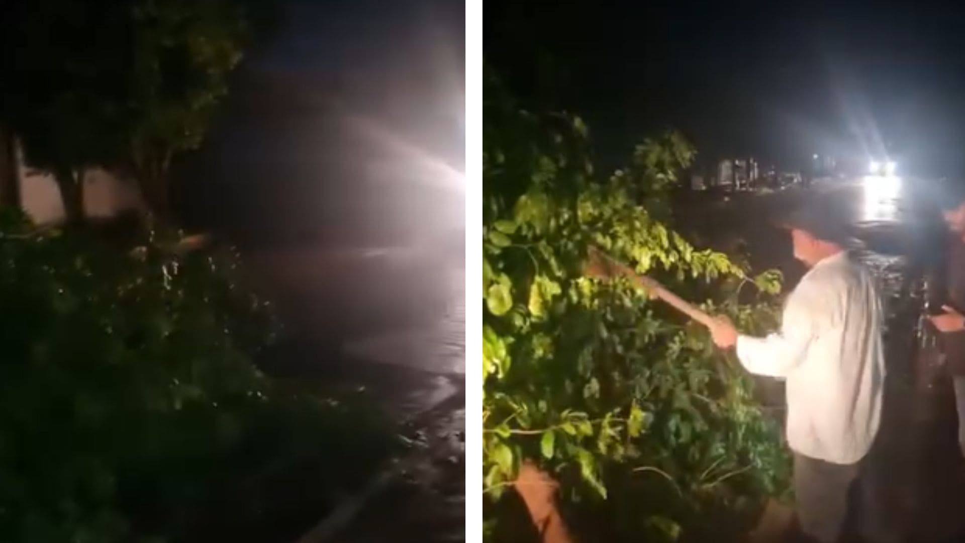 Duas árvores caem durante chuva em Várzea Grande e deixam moradores sem energia; veja vídeo