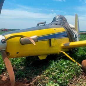 Piloto Sobrevive à Queda de Avião em MT