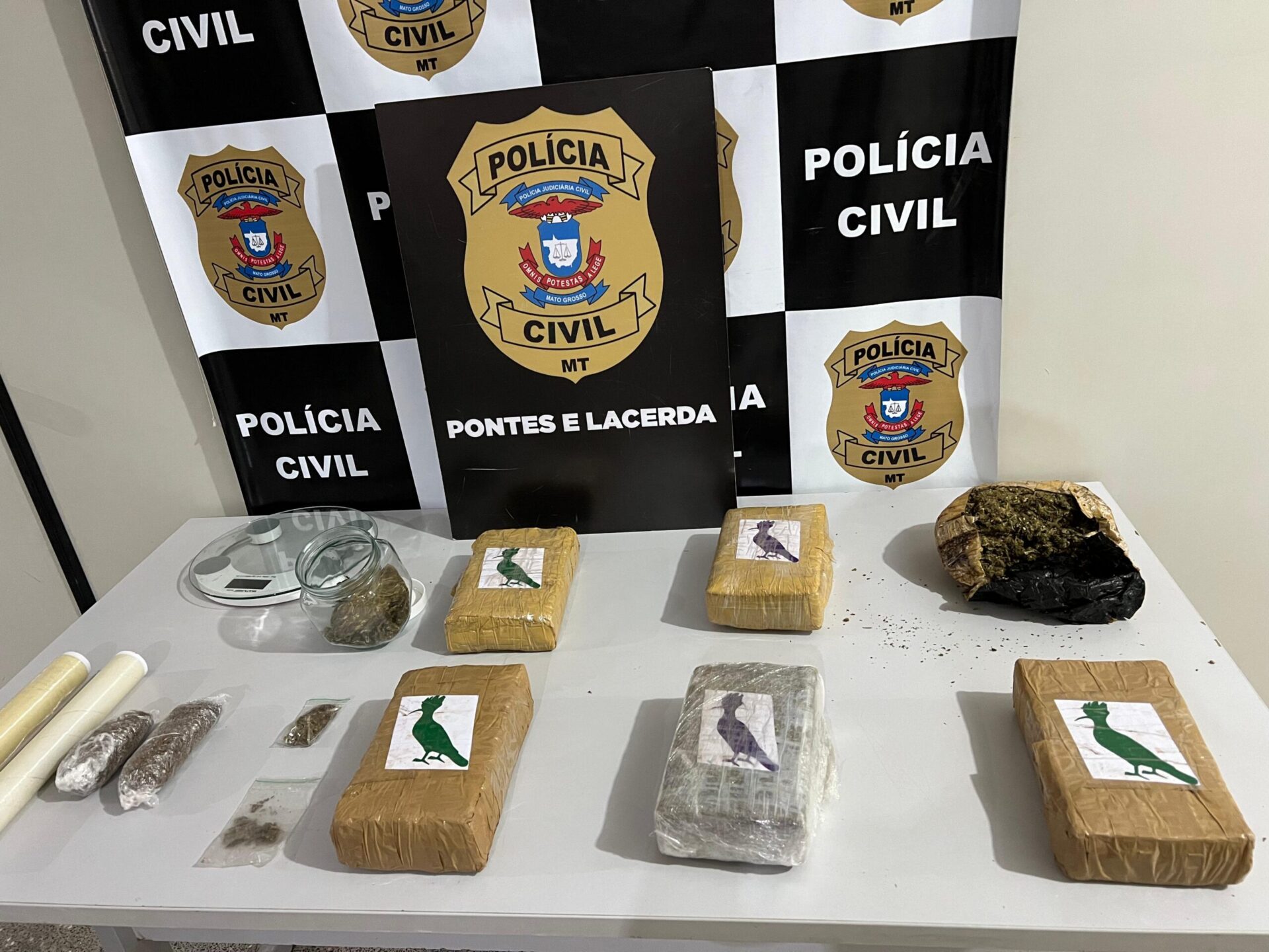 Traficante de Drogas é Presa em Pontes e Lacerda Durante Operação Policial
