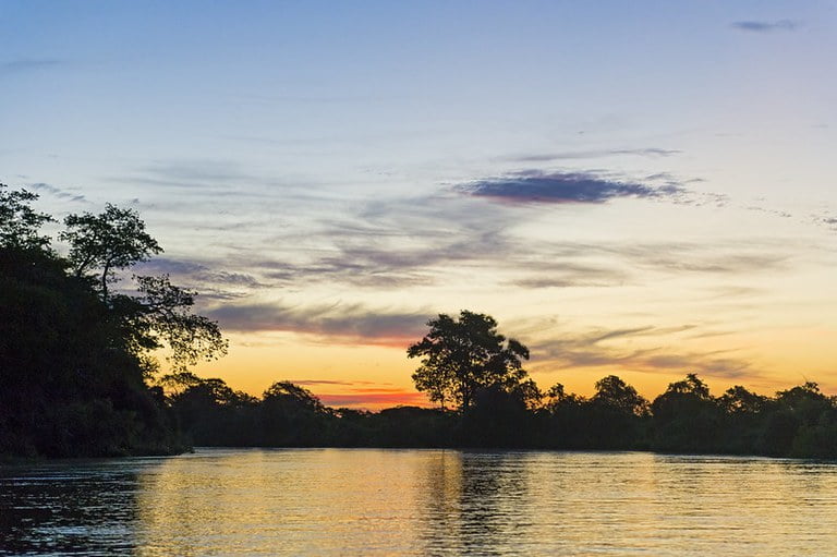 Explore o Pantanal Mato-Grossense: um santuário natural com fauna e flora ricas, atividades de aventura e uma gastronomia local excepcional perto de Cuiabá.