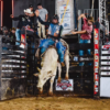 Poconé Celebra a 45ª Semana do Cavalo Pantaneiro com Shows Artísticos