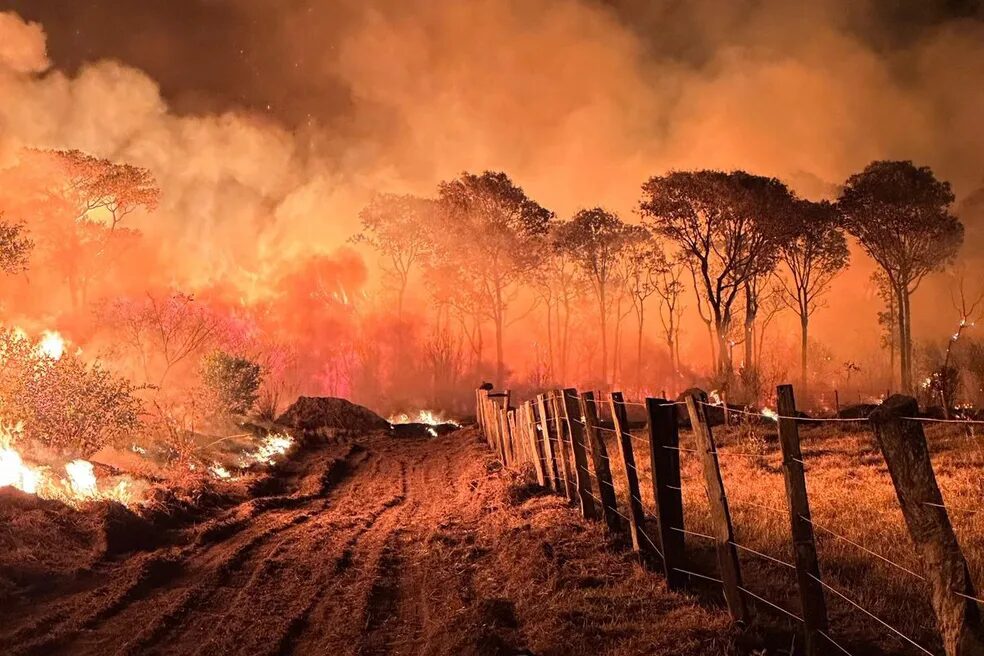 Incêndio no pantanal