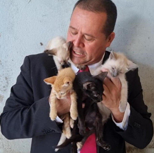 Vereador Sargento Vidal rebate acusações de maus-tratos em santuário de animais