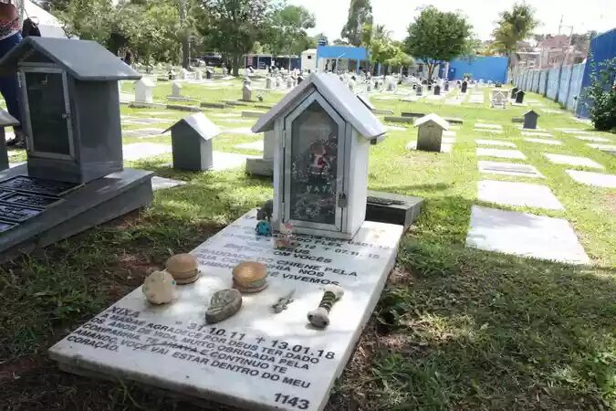 Câmara de Cuiabá aprova lei que cria cemitérios para animais