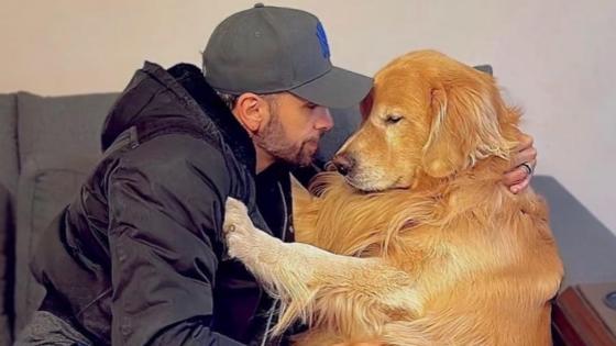 Justiça arquiva inquérito que investigava morte do cão Joca em voo da Gol