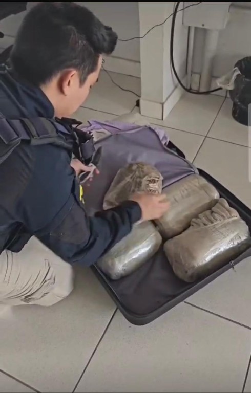 PRF Intercepta 13,6 kg de Skunk em Ônibus em MT