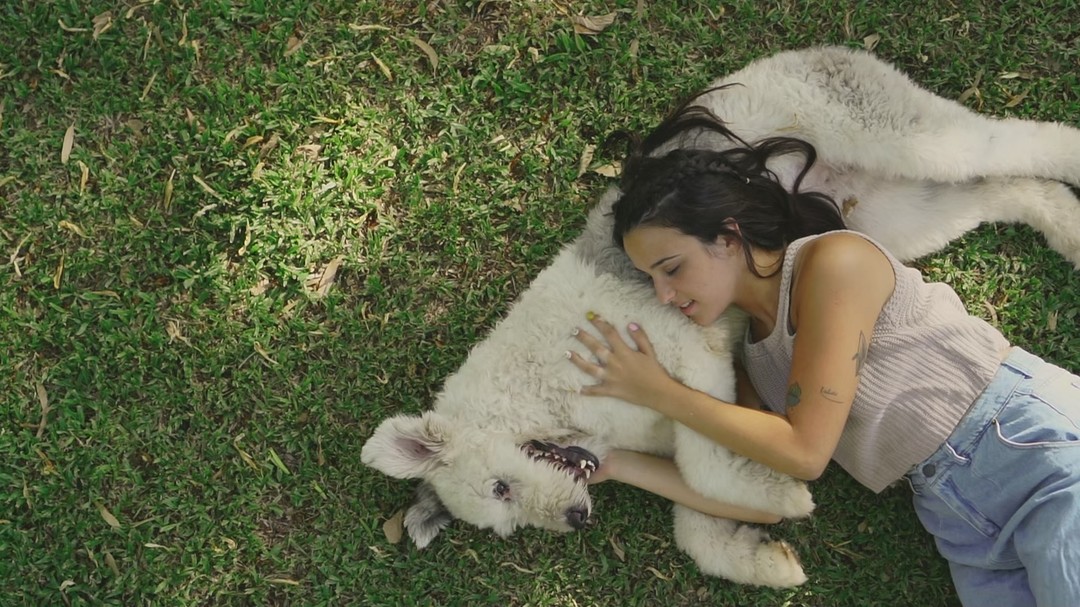 Mulher nos EUA perde pernas e dedos após mordida de cachorro; VEJA VÍDEO