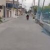 Homem persegue criminosos no RJ e impede roubo de moto; VEJA VÍDEO