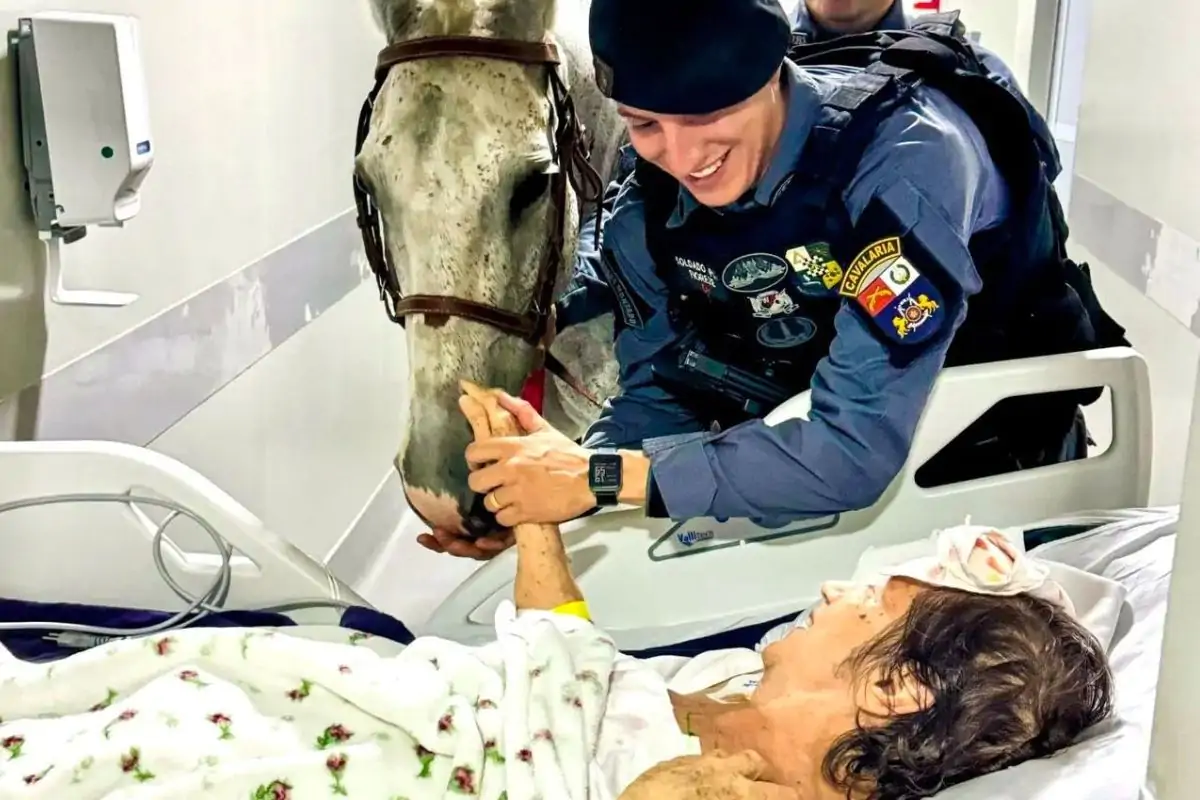 Cavalos Levam Esperança a Pacientes de Cuiabá