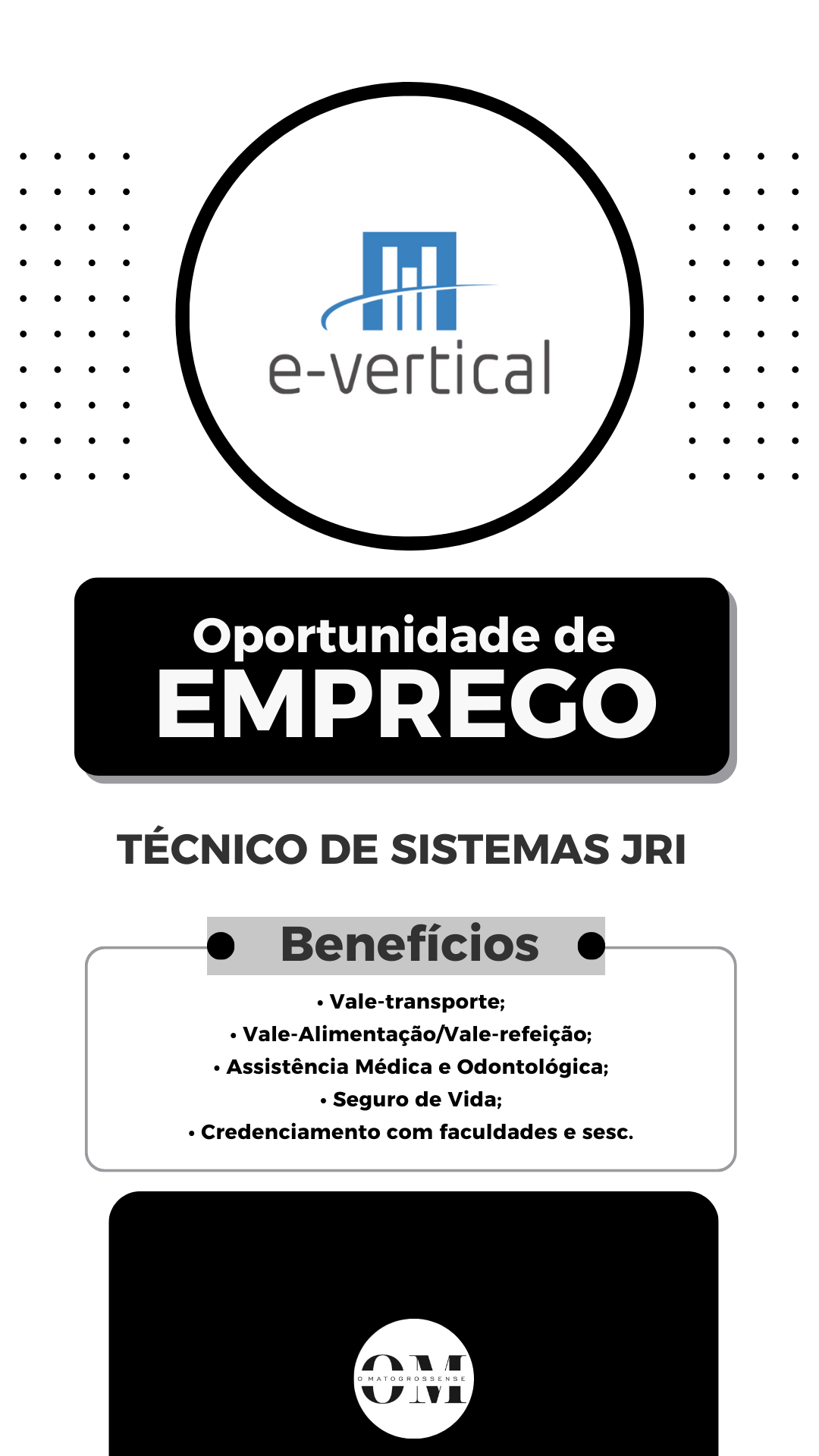 técnico