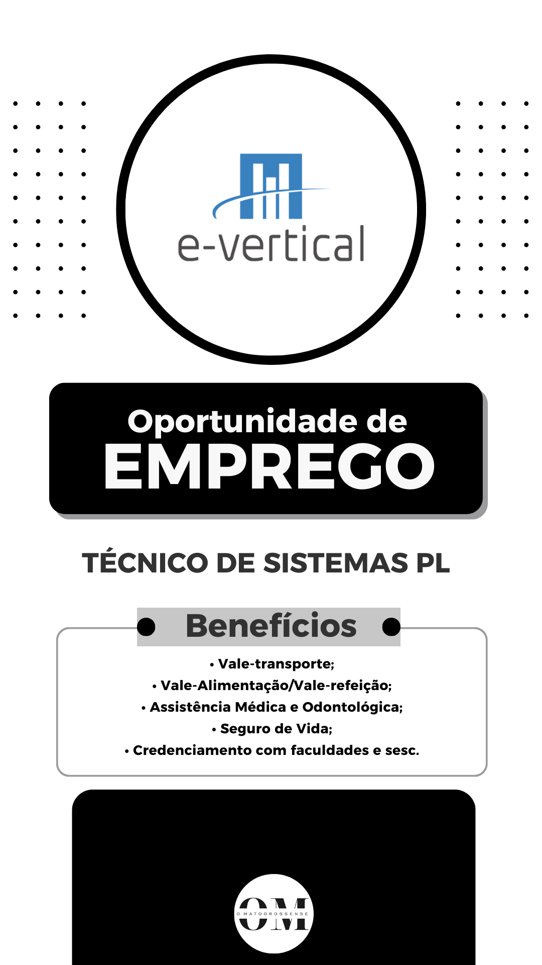 técnico