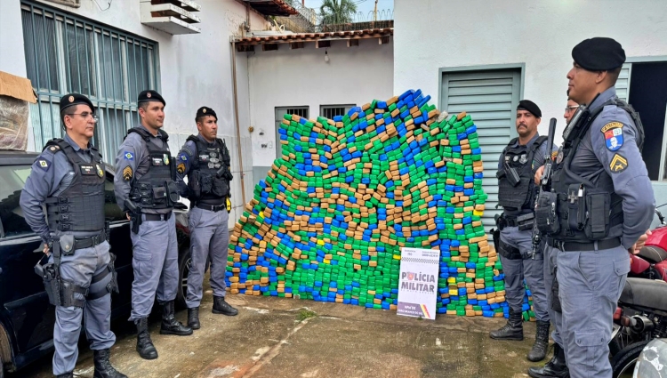 Mais de 1 Tonelada de Maconha Interceptada na BR-163