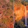 Arara Vermelha Sobrevoa Cachoeira e Emociona Visitantes