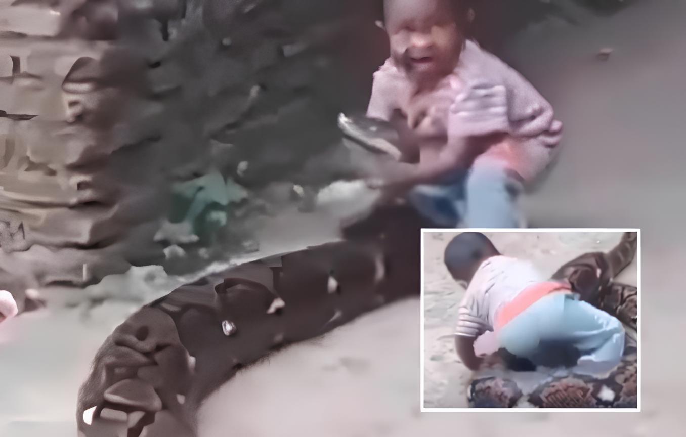 Criança é flagrada brincando com cobra gigante