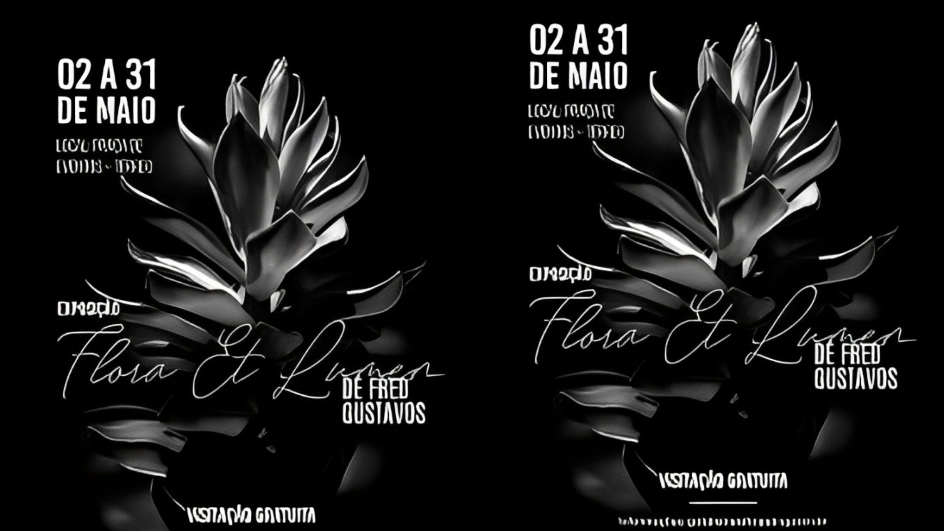 Exposição gratuita em Cuiabá revela a beleza oculta da flora mato-grossense em preto e branco