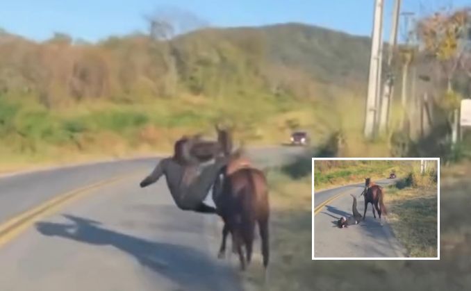 Sem habilidade, mulher tem sucessivas quedas ao tentar andar a cavalo