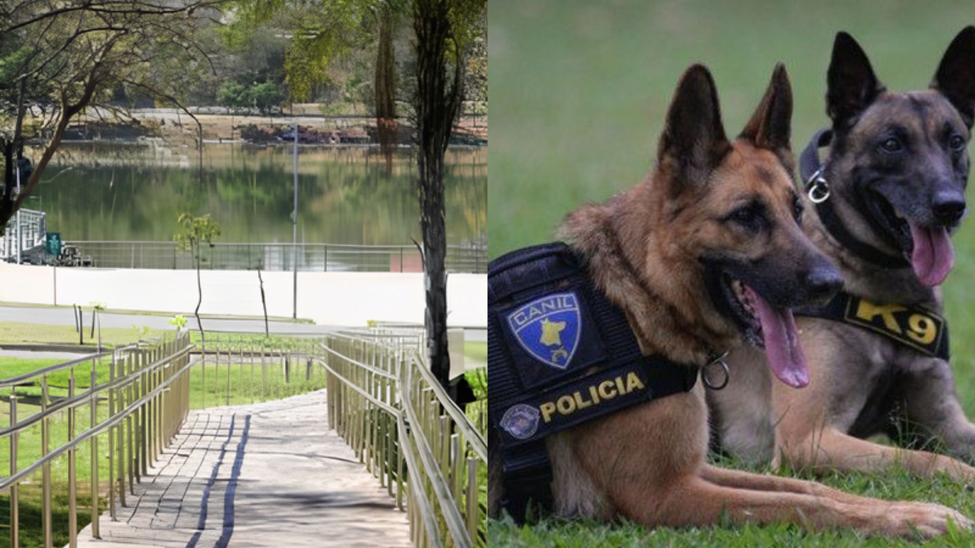 Torneio de cães policiais e aulão gratuito prometem agitar o Parque das Águas neste sábado em Cuiabá