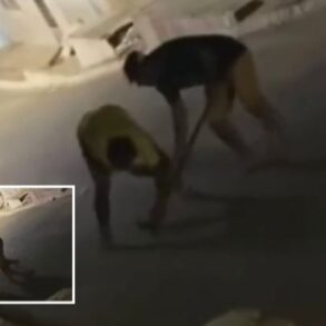 Irmão tenta matar outro com foice durante briga no meio da rua