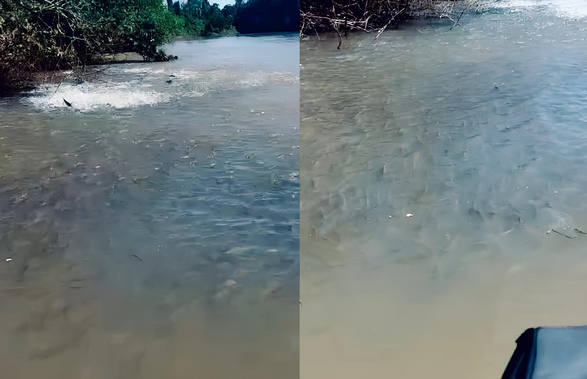 Pescador flagra fenômeno impressionante no Rio São Lourenço