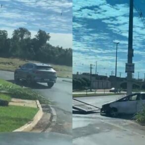 Carro desgovernado arranca palmeira e bate em poste em rotatória de Cuiabá