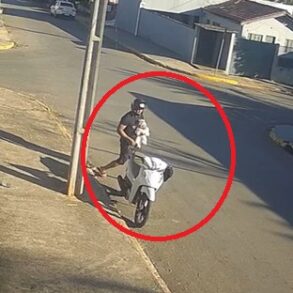 Homem furta cachorro em Sorriso e caso revolta moradores