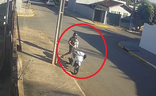 Homem furta cachorro em Sorriso e caso revolta moradores