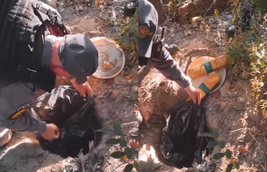 Polícia acha tabletes de maconha escondidos em parque estadual
