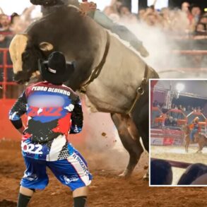 Peão é arrastado por touro em rodeio ao ficar preso ao equipamento; veja vídeo