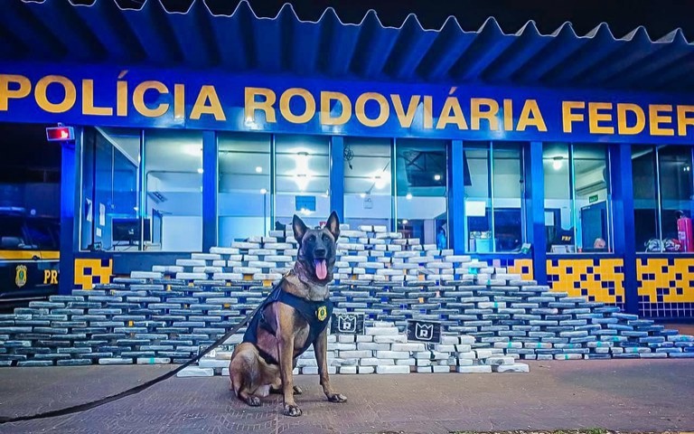 Droga escondida no teto do caminhão é descoberta por cão farejador da PRF