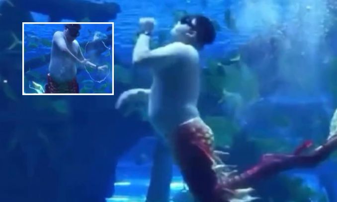 “Homem sereio” Plus Size vira sensação ao lado de colegas em aquário na China