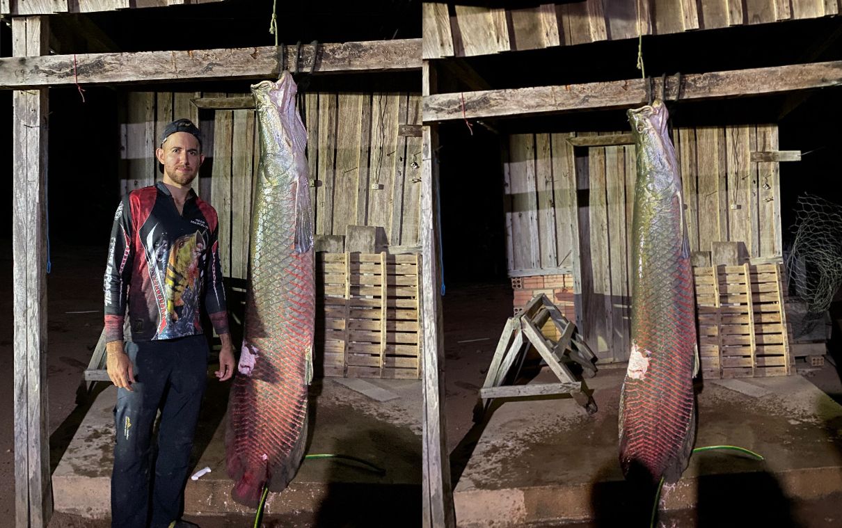 Casal captura pirarucu de 2 metros no norte de Mato Grosso