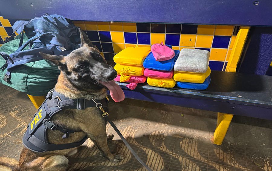 Homem é preso com 11kg de Skunk em Rondonópolis