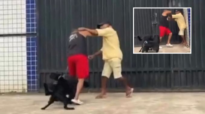 Agressão em dupla: briga entre donos termina em confusão com cachorros