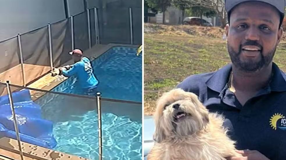 Homem salva cachorro prestes a morrer no fundo de piscina