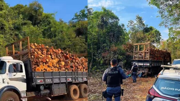 Operação da Polícia Militar Desmantela Quadrilha de Extração