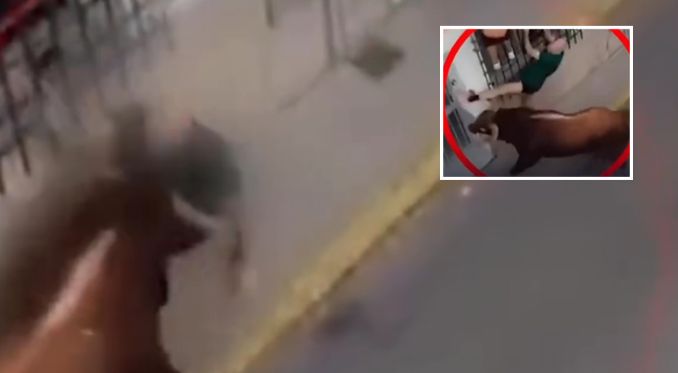 Touro enfurecido ataca e mata homem durante festiva