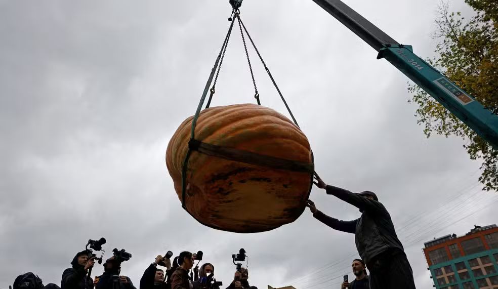 Abóbora gigante de quase 1 tonelada é erguida por guindaste em festival