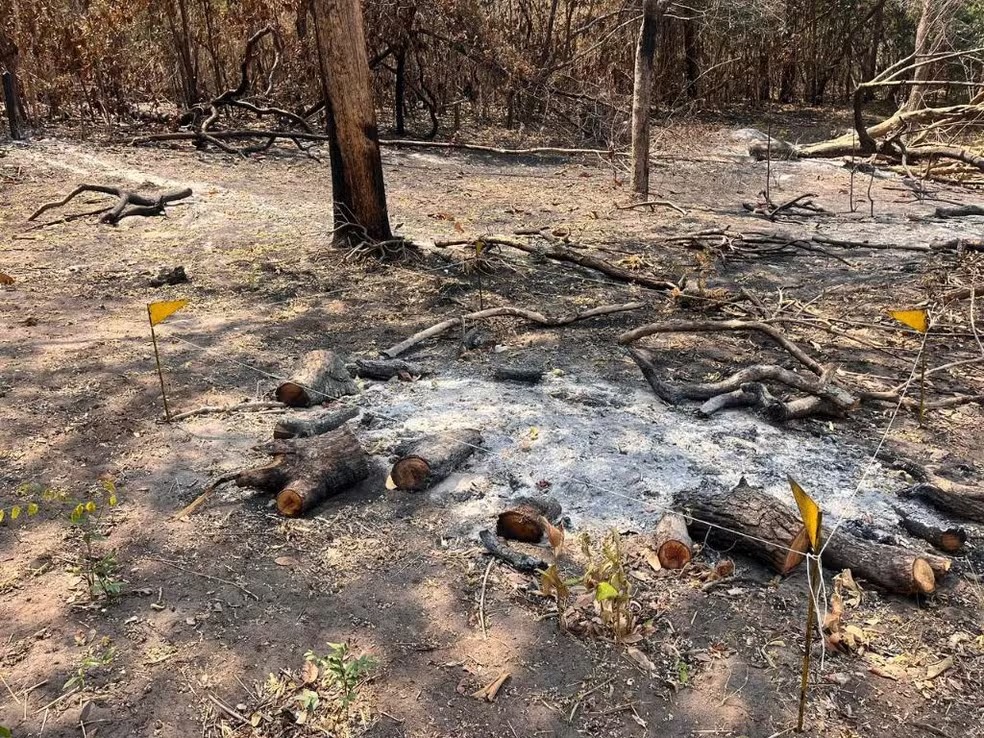 Bombeiros Confirmam Incêndio Criminal no Parque Serra Azul