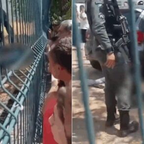 Ataque a tiros em escola deixa 2 alunos mortos e 3 feridos