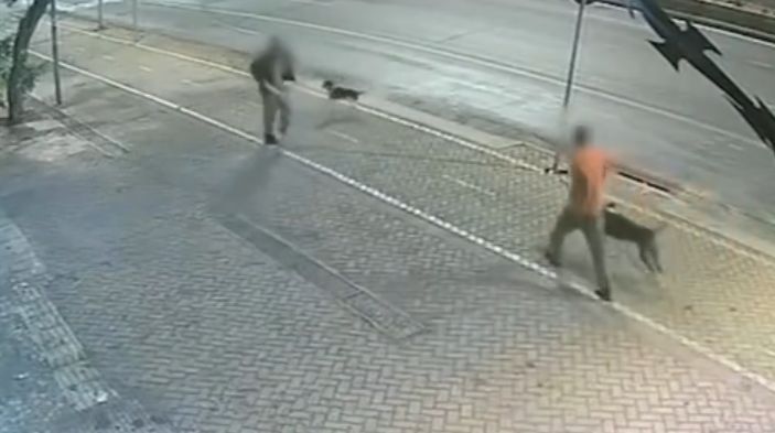 Imagens mostram briga que resultou na morte de um morador de rua