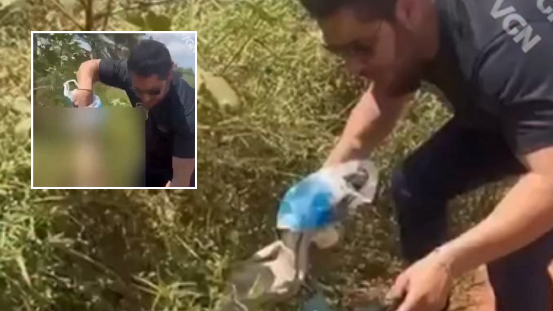 Homem é preso após matar cachorro a pauladas em Várzea Grande; veja vídeo