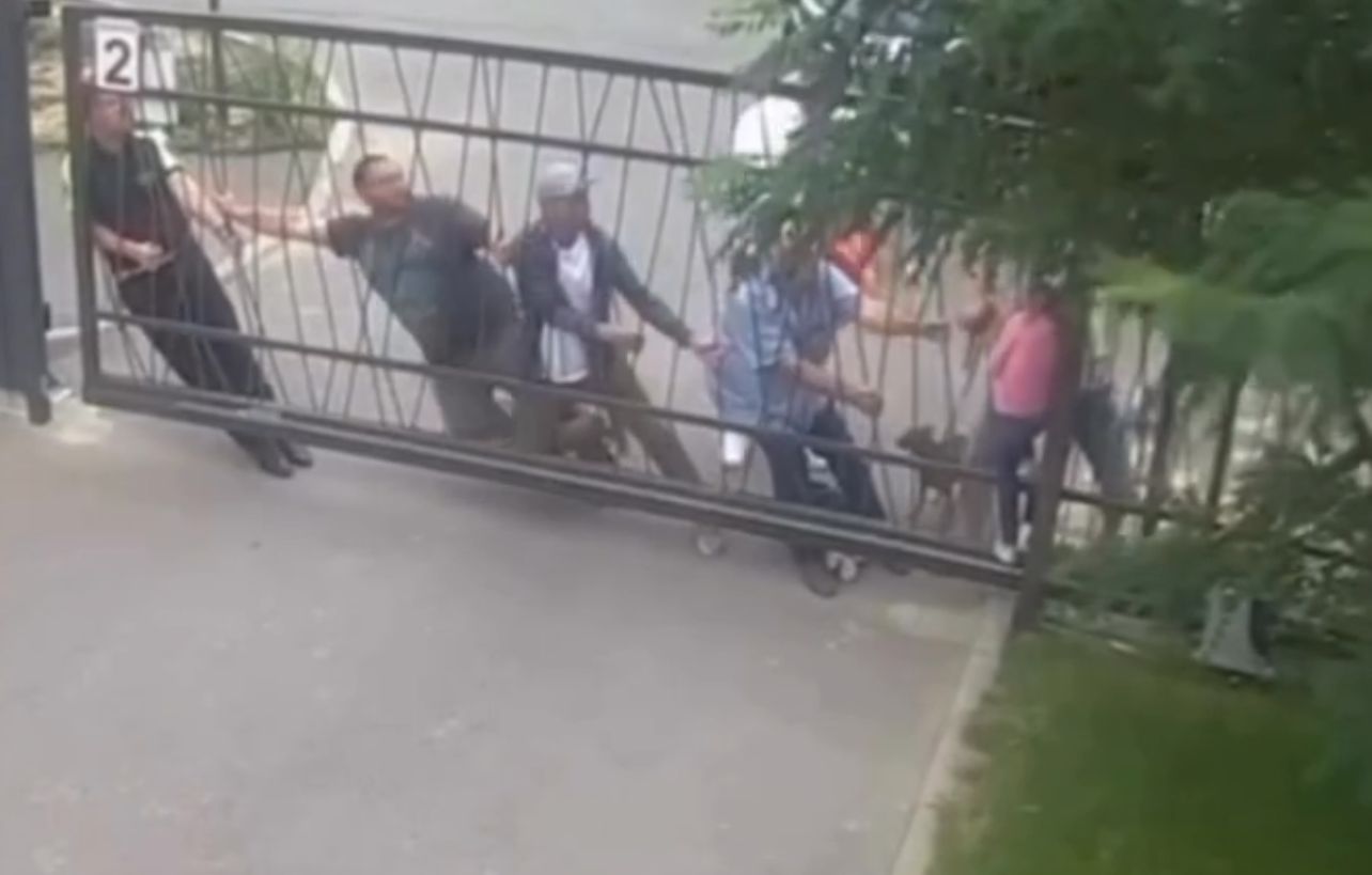 Menina fica presa em portão elétrico, mas é salva por homens que passavam pela rua