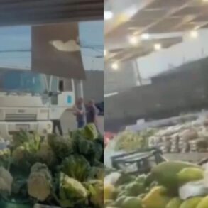 Motorista bêbado invade sacolão com caminhão após briga