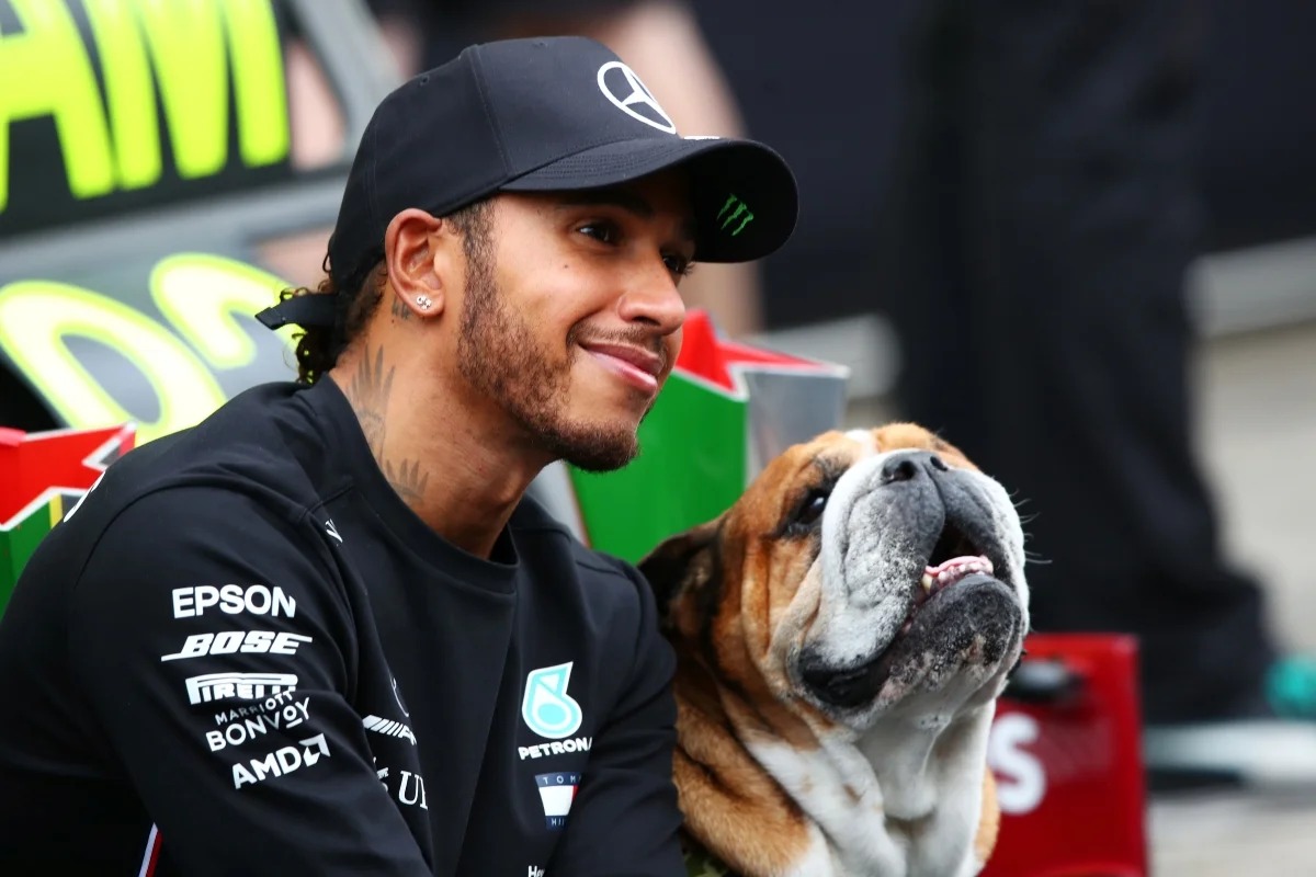 Lewis Hamilton recebe quadro de Lego em homenagem ao falecido cão Roscoe