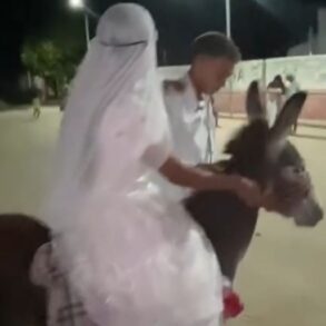 Noiva vai ao próprio casamento montada em jumento e viraliza