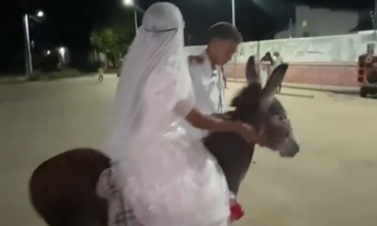 Noiva vai ao próprio casamento montada em jumento e viraliza